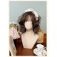 Alice Girl Iris Garden In Spring V Neck JSK(7th Pre-Order/2 Colours/Full Payment Without Shipping)